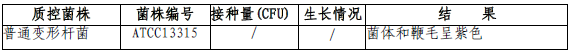 刘荣标氏鞭毛染色液