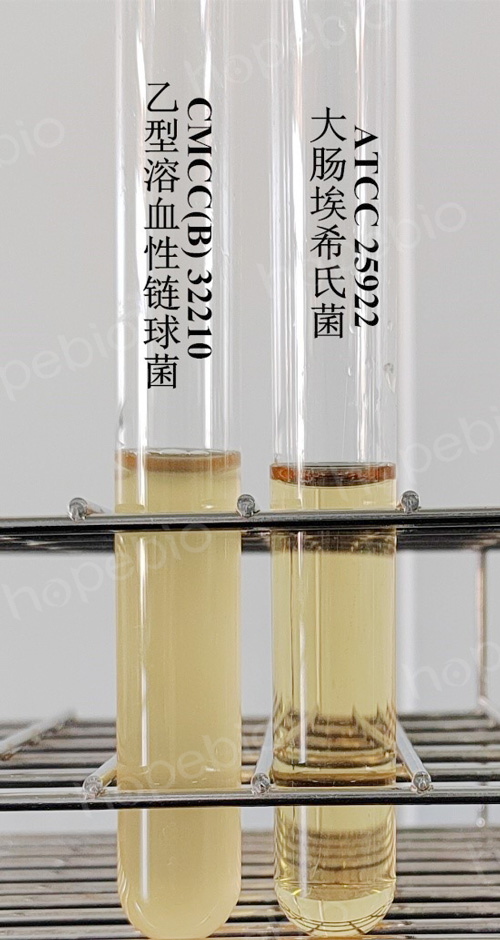 改良胰蛋白胨大豆肉汤培养基的微生物质控结果 改良胰蛋白胨大豆肉汤培养基的微生物质控结果
